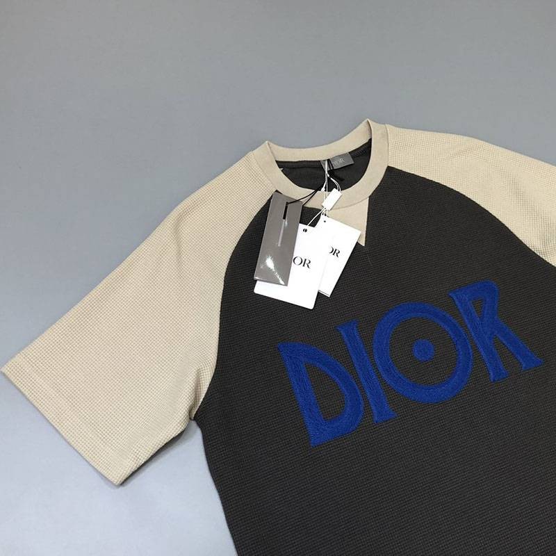 超話題!ディオール ロゴTシャツ 偽物 カラーブロッキング den15276